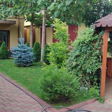 Cazare Buzau Exterior foto