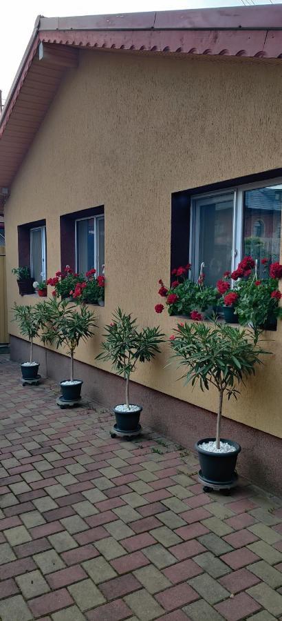 Cazare Buzau Exterior foto